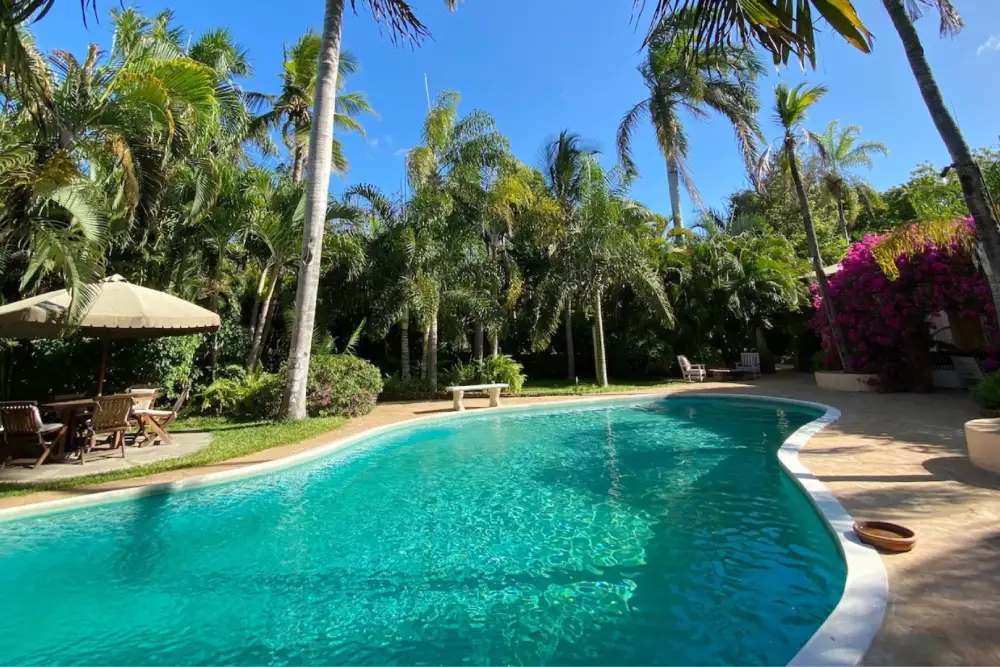 Outdoor pool area of Allamanda House, Malindi